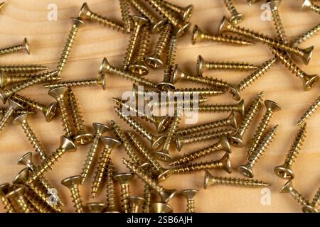 viti autofilettanti in metallo dorato diffuso per lavori di costruzione, bellissimi nuovi dispositivi di fissaggio in metallo viti autofilettanti per il collegamento di eliche in legno o metallo Foto Stock