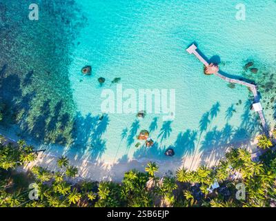 Una splendida vista aerea di una spiaggia tropicale, con acque turchesi cristalline, ombre di palme e un lungo molo in legno Foto Stock