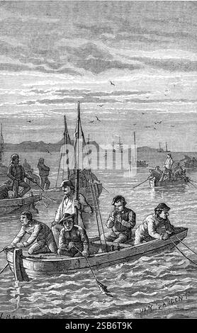 Pesca del merluzzo bianco al largo della costa atlantica di Terranova, Canada. Incisione vintage o storica o illustrazione 1877 Foto Stock