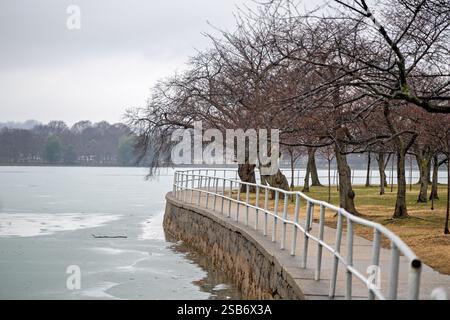 Tidal Basin con ciliegio dormiente a Washington DC | WASHINGTON DC — Ciliegio Yoshino dormiente costeggiano un marciapiede lungo il Tidal Basin parzialmente ghiacciato durante l'inverno. Questi alberi, originariamente un dono dal Giappone nel 1912, sono l'attrazione principale del Festival annuale dei Fiori di Ciliegio ogni primavera. Foto Stock