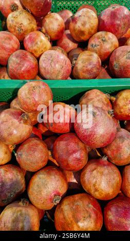 Frutta matura di melograno in vendita in un supermercato. Primo piano di frutti di melograno con messa a fuoco selettiva. Frutta simile a frutti di bosco. Mucchio di melograni deliziosi Foto Stock