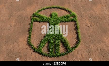 Concetto concettuale, verde, simbolo dell'erba estiva, forma su terreno marrone o fondo terra, segno dell'uomo vitruvio. Una metafora dell'illustrazione 3d per architec Foto Stock