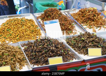 primo piano di insetti fritti assortiti, tra cui grilli, pupe di bachi da seta e vermi di bambù, esposti su vassoi in un mercato di strada locale. Guarnita con Foto Stock