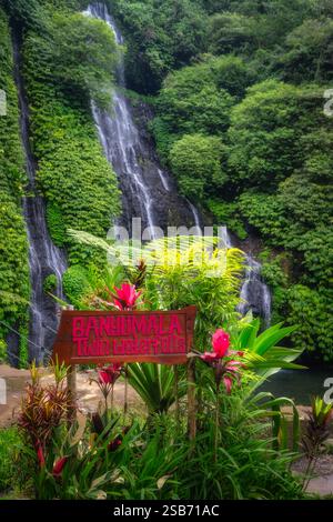 Bali, Indonesia, 4 ottobre 2024 immergetevi nell'incantevole serenità delle cascate gemelle Banyumala che si tuffano graziosamente attraverso la lussureggiante landsca Foto Stock