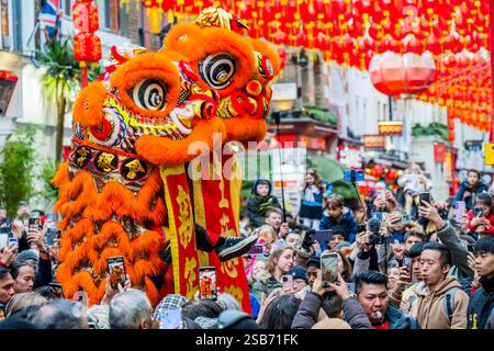 Londra, Regno Unito. 1 febbraio 2025. I ballerini dei leoni visitano i negozi e i ristoranti di Chinatown, Londra, per portare loro buona fortuna per il nuovo anno. Il 2025 è l'anno del serpente. Crediti: Guy Bell/Alamy Live News Foto Stock