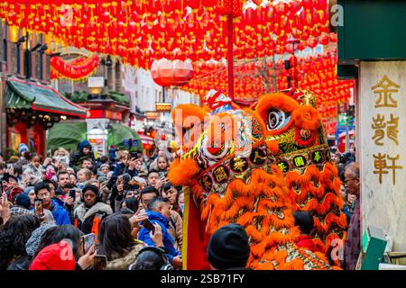 Londra, Regno Unito. 1 febbraio 2025. I ballerini dei leoni visitano i negozi e i ristoranti di Chinatown, Londra, per portare loro buona fortuna per il nuovo anno. Il 2025 è l'anno del serpente. Crediti: Guy Bell/Alamy Live News Foto Stock