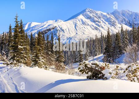 Vista delle splendide cime ricoperte di neve fresca nella valle di Gasienicowa, sui monti Tatra, in Polonia Foto Stock