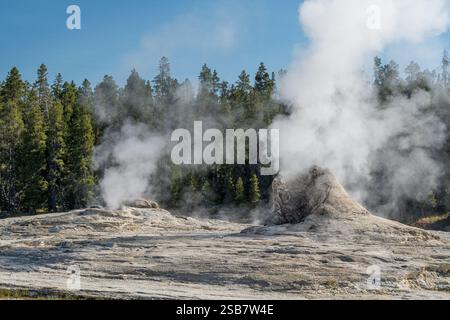 Il grande cono del Giant Geyser, nell'Upper Geyser Basin del parco nazionale di Yellowstone Foto Stock