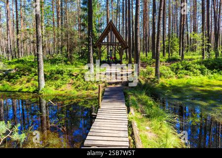 Piccolo capannone per turisti tra le paludi nella foresta verde vicino alla città di Nowy Targ, regione di Podhale, Polonia Foto Stock
