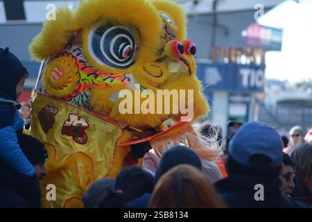 Drago danzante in occasione della celebrazione del Capodanno lunare cinese al South Street Seaport di New York City. Foto Stock