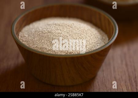 Granuli attivi di lievito secco in un piccolo recipiente, fotografati con luce naturale su una tavola di legno (profondità di campo molto bassa, messa a fuoco di un terzo nella ciotola) Foto Stock