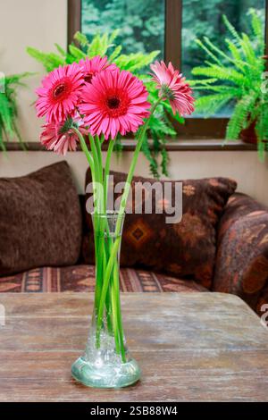 Fiori di gerbera rosa in vaso di vetro. Decorazioni per feste Foto Stock