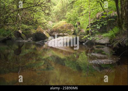Fotografia di un'antica foresta in Bretagna, rocce, muschio e fiume Foto Stock