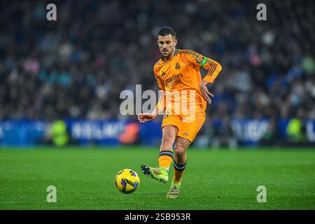Cornella El Prat, ESP. 1 febbraio 2025. RCD ESPANYOL vs REAL MADRID 1 febbraio 2025 D. Ceballos (19) del Real Madrid durante la partita tra RCD Espanyol e Real Madrid corrispondente alla ventidue giorni di la Liga EA Sports allo stadio RCDE di Barcellona, Spagna. Crediti: Rosdemora/Alamy Live News Foto Stock