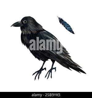 Corvo spaventoso nero e piuma blu scuro. Illustrazione ad acquerello per Halloween o Day of the Dead su sfondo isolato. Adatto per la sala gotica o. Foto Stock