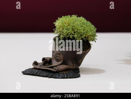 RHS Chelsea Flower Show 2024 Foto Stock