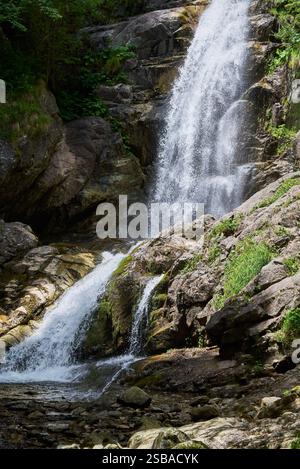 Fotografia di alberi, del fiume Maria (Maria) e della cascata Marii nei monti Retezat a Uricani, Hunedoara Romania Foto Stock