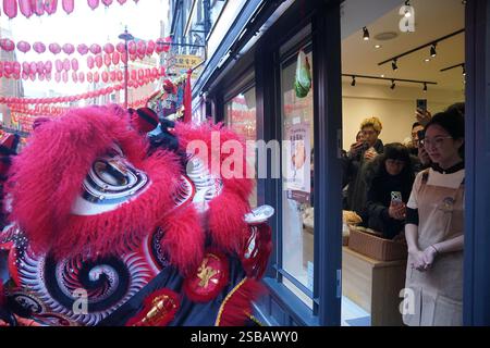 Un membro del personale della Mrs Bakery di Chinatown a Londra, interagisce con un ballerino di leoni durante le celebrazioni del capodanno lunare, noto anche come Festival di primavera o Capodanno cinese. Data foto: Domenica 2 febbraio 2025. Foto Stock