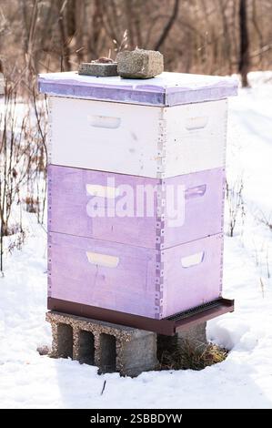 Alveare di miele, tre scatole profonde, in inverno Foto Stock