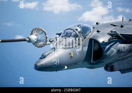 Un AV-8B Harrier del corpo dei Marines con Marine Attack Training Squadron 203 si prepara a ricevere carburante durante un rifornimento aereo al largo della costa di N.C., settembre Foto Stock