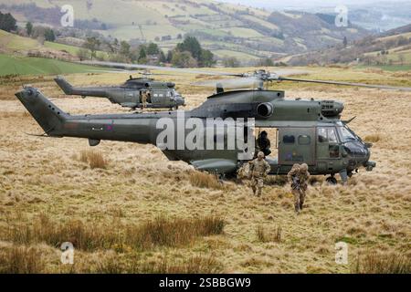 Elicotteri Puma in addestramento KUKRI con segnale di chiamata su SENTA Foto Stock
