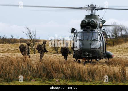 Elicotteri Puma in addestramento KUKRI con segnale di chiamata su SENTA Foto Stock