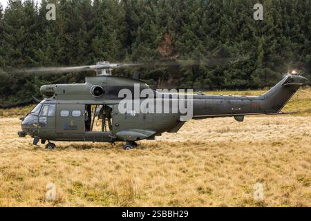 Elicotteri Puma in addestramento KUKRI con segnale di chiamata su SENTA Foto Stock