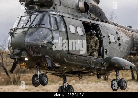 Elicotteri Puma in addestramento KUKRI con segnale di chiamata su SENTA Foto Stock