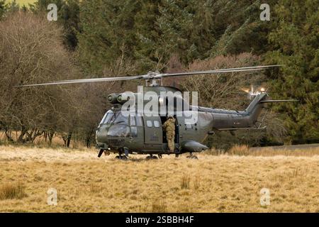 Elicotteri Puma in addestramento KUKRI con segnale di chiamata su SENTA Foto Stock