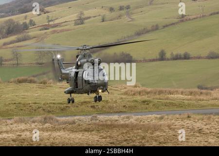 Elicotteri Puma in addestramento KUKRI con segnale di chiamata su SENTA Foto Stock
