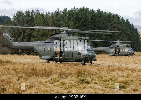 Elicotteri Puma in addestramento KUKRI con segnale di chiamata su SENTA Foto Stock