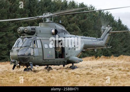 Elicotteri Puma in addestramento KUKRI con segnale di chiamata su SENTA Foto Stock