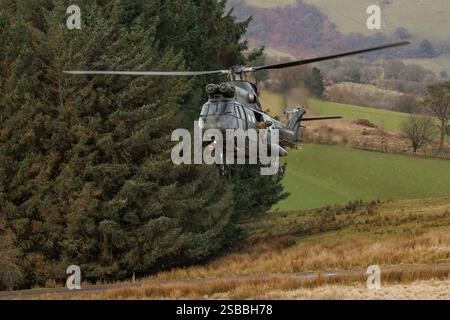 Elicotteri Puma in addestramento KUKRI con segnale di chiamata su SENTA Foto Stock
