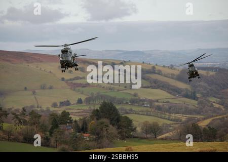 Elicotteri Puma in addestramento KUKRI con segnale di chiamata su SENTA Foto Stock