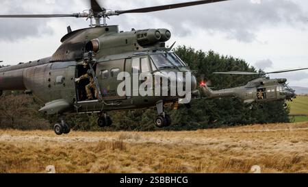 Elicotteri Puma in addestramento KUKRI con segnale di chiamata su SENTA Foto Stock