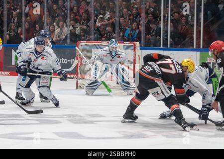 Elis Hede (Straubing Tigers, #75), Florian Bugl (Torwart, Straubing Tigers, #01), Daniel Pfaffengut (Loewen Frankfurt, #77), Joshua Samanski (Straubing Tigers, #08), Loewen Frankfurt vs. Straubing Tigers, Eishockey, DEL, 43. Spieltag, Spielzeit 2024/2025, 02.02.2025, foto: Eibner-Pressefoto/Gilda Grass Foto Stock