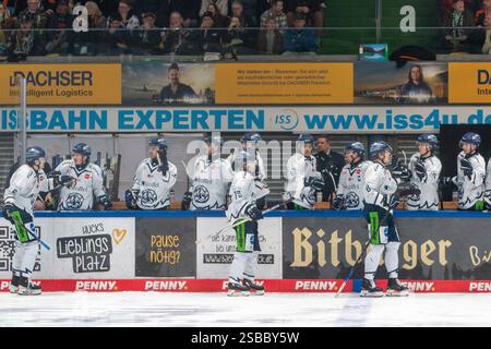 Francoforte sul meno, Germania. 2 febbraio 2025. Torjubel, Straubing Tigers, Elis Hede (Straubing Tigers, #75), Joshua Samanski (Straubing Tigers, #08), Loewen Frankfurt vs. Straubing Tigers, Eishockey, DEL, 43. Spieltag, Spielzeit 2024/2025, 02.02.2025, foto: Eibner-Pressefoto/Gilda Grass Credit: dpa/Alamy Live News Foto Stock