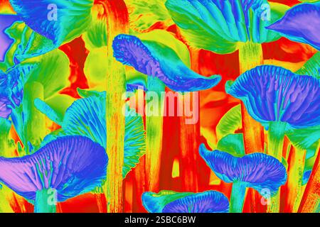 Un'opera d'arte digitale surreale con funghi dai colori intensi termici. Blu, rossi e verdi brillanti creano uno psichedelico. Foto Stock