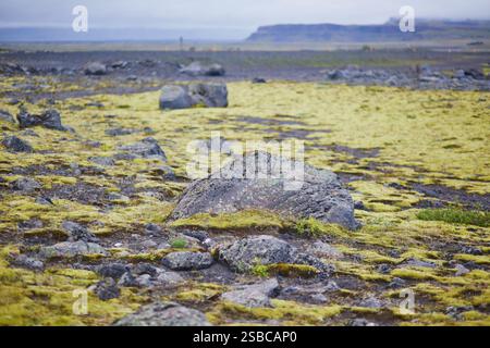 Maestosi paesaggi estivi con scogliere e campi nel sud dell'Islanda Foto Stock