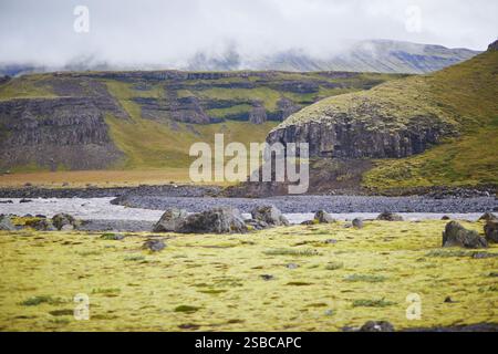 Maestosi paesaggi estivi con scogliere e campi nel sud dell'Islanda Foto Stock