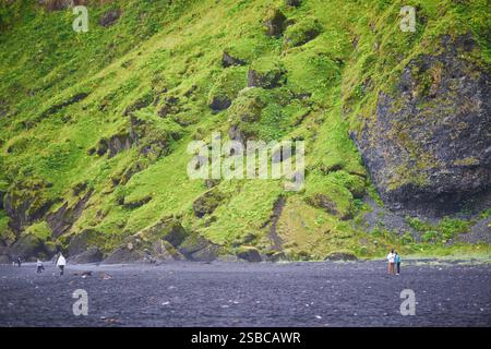 Vista panoramica della spiaggia di sabbia nera di Vikurfjara a Vik nell'Islanda meridionale Foto Stock