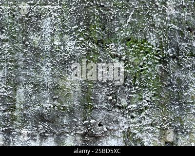 Struttura muraria in cemento armato e resistente agli agenti atmosferici Foto Stock