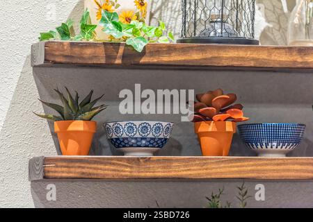 Arredamento in stile rustico con cucina e ciotole blu vuote e succulenti vasi di fiori interni su scaffale in legno Foto Stock