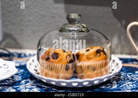 Muffin con gocce di cioccolato nella fodera di carta, dolci dolci dolci per la colazione continentale, tè pomeridiano su vassoio in caffetteria, negozio o coperto in casa Foto Stock