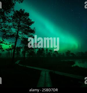 l'aurora boreale verde si illumina su paludi nebbiose e scure con una strada rialzata in legno che conduce alla nebbia in Finlandia Foto Stock