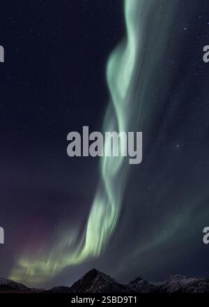 Aurora Boreale aurora boreale sulle montagne delle isole Lofoten, Norvegia 2025 Foto Stock