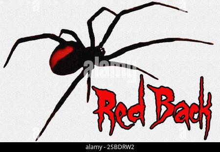 Ragno posteriore rosso, Australia. Foto Stock