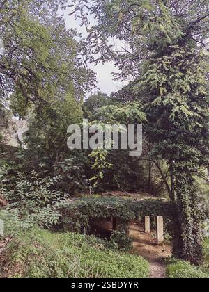 Un sentiero nella foresta vicino a rovine storiche e un fiume di montagna Foto Stock
