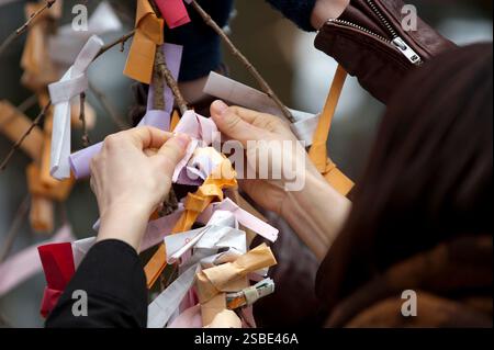 Persone che legano il loro "omikuji" (oracolo di buona o cattiva sorte) a un ramo durante "Hatsumode" (visita al santuario di Capodanno) a Taga Taisha, Hikone, Giappone. Foto Stock