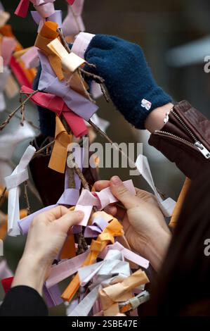 Persone che legano il loro "omikuji" (oracolo di buona o cattiva sorte) a un ramo durante "Hatsumode" (visita al santuario di Capodanno) a Taga Taisha, Hikone, Giappone. Foto Stock